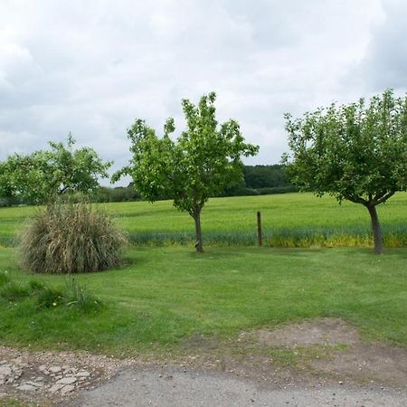 Woodview B Colchester Birch Eksteriør billede